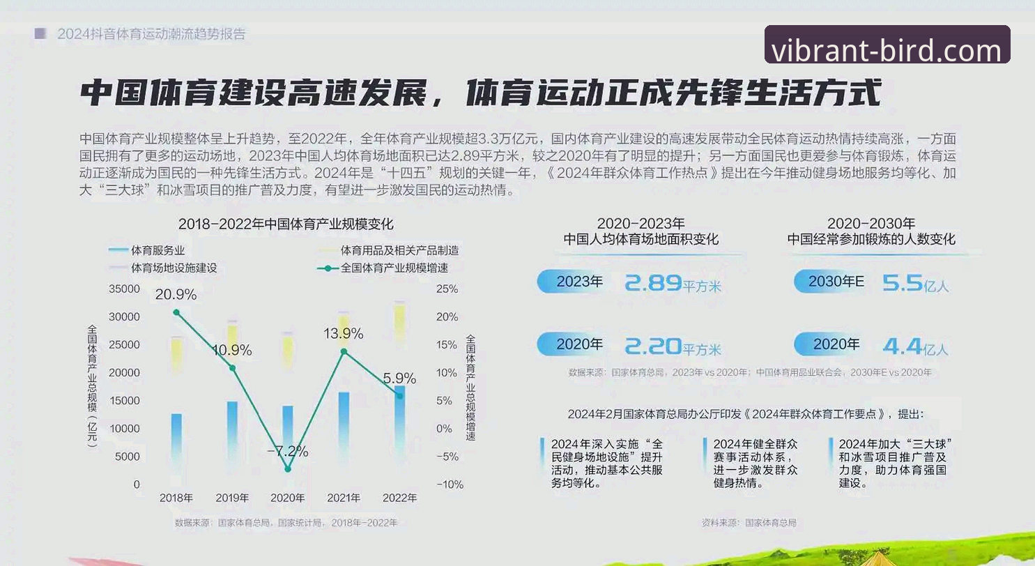 小鸟体育官网 小鸟体育平台实用指南:2024最新版本特性与安装全流程解析