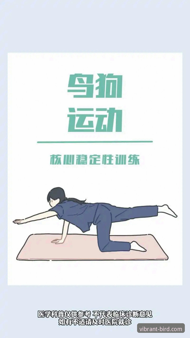 小鸟体育评测必备 小鸟体育评测必备:5个实用技巧助你快速掌握K7A3版本创新玩法